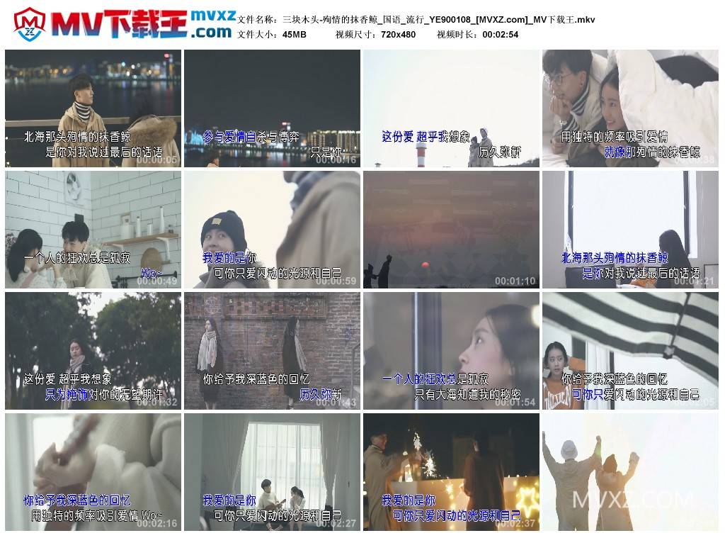 三块木头-殉情的抹香鲸_国语_流行_YE900108